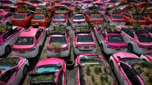 Vrt u taxiju - Na Tajlandu nekorištene taksije pretvorili u povrtnjak