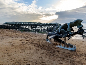 Neman iz mora: Divovski kostur zmije od 130 metara koja je &quot;izronila&quot; na francusku obalu